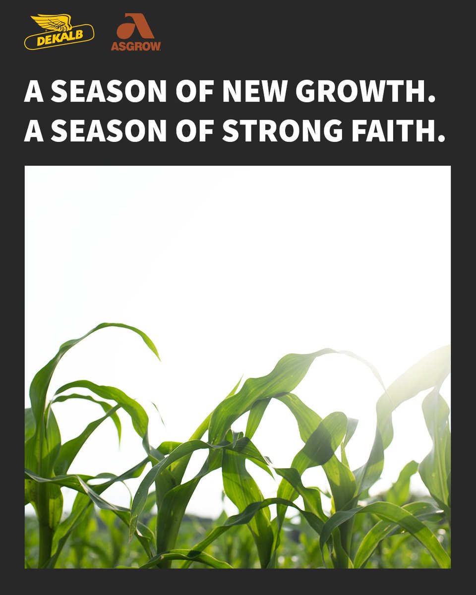 Today, let’s reflect on all of the good that we can grow. Happy Easter. #SeedsThatSucceed