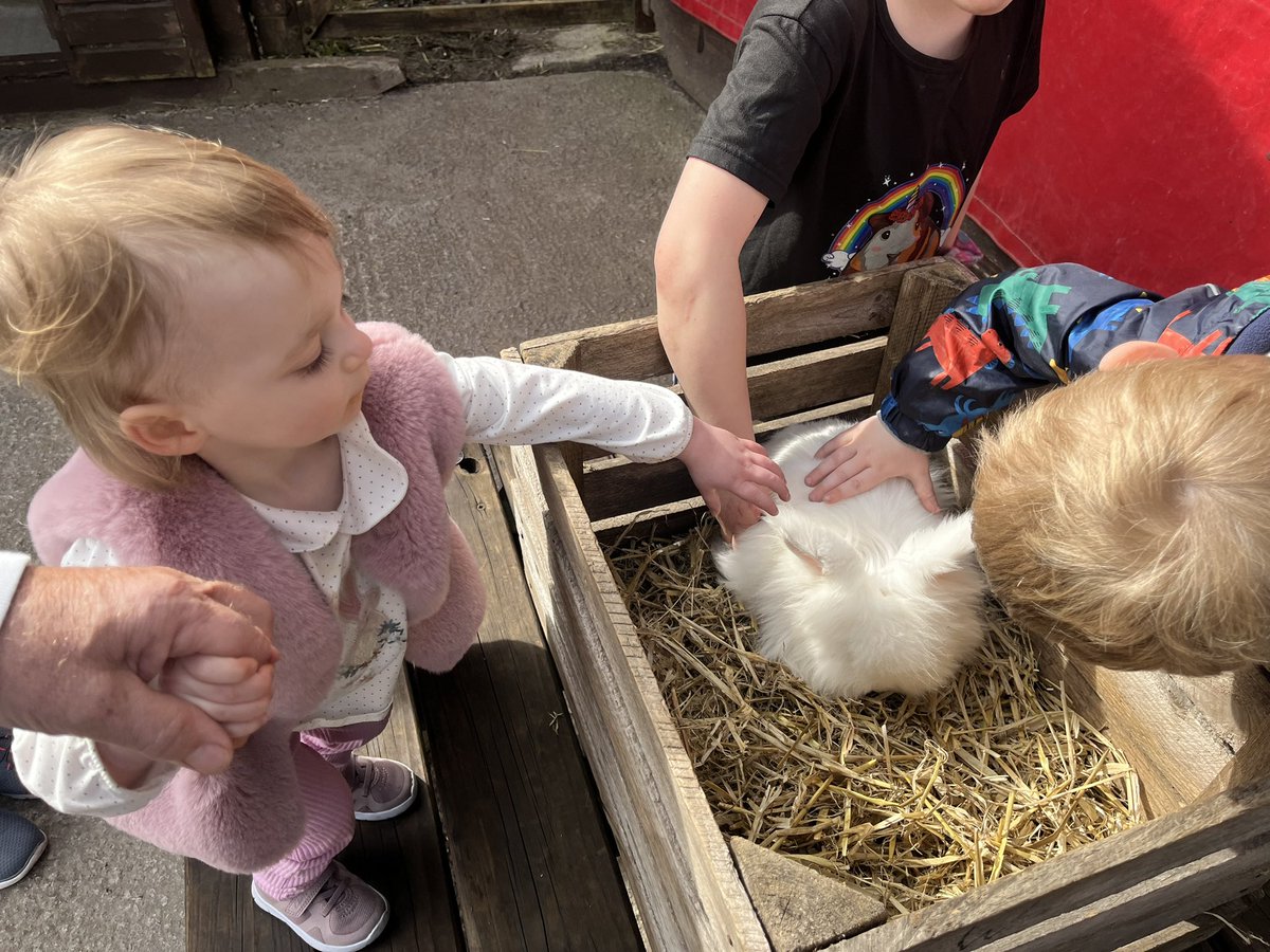 Lovely day with small one. Chocolate eggs, colouring in and adventures at @GypsyWoodPark 🤩