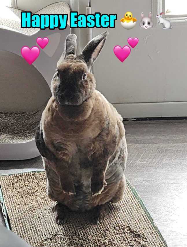 Amanda Russ (@mandar180) on Twitter photo 