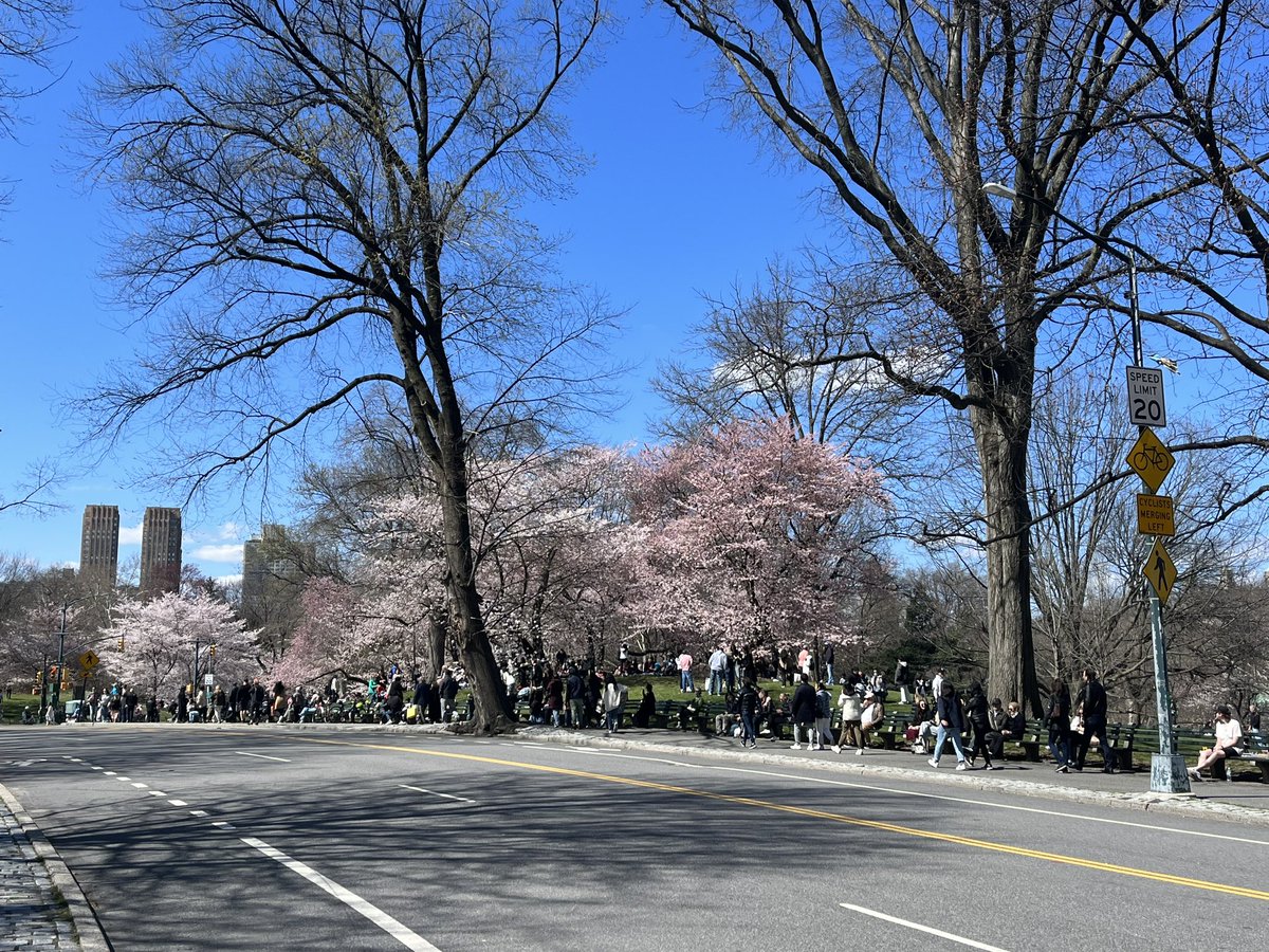 Nothing quite like Central Park, NYC, on a sunny Easter Sunday.