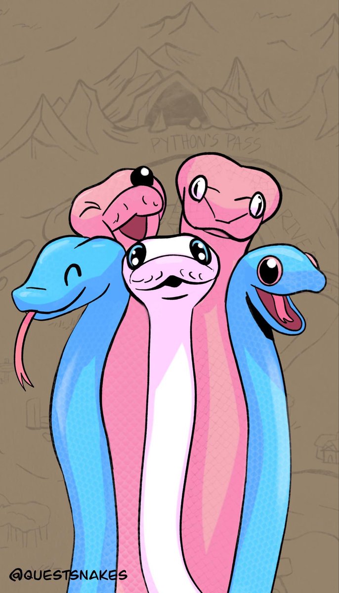 Happy #TransDayOfVisibility 🏳️‍⚧️ Here’s our danger noodle version of the flag 💖🐍