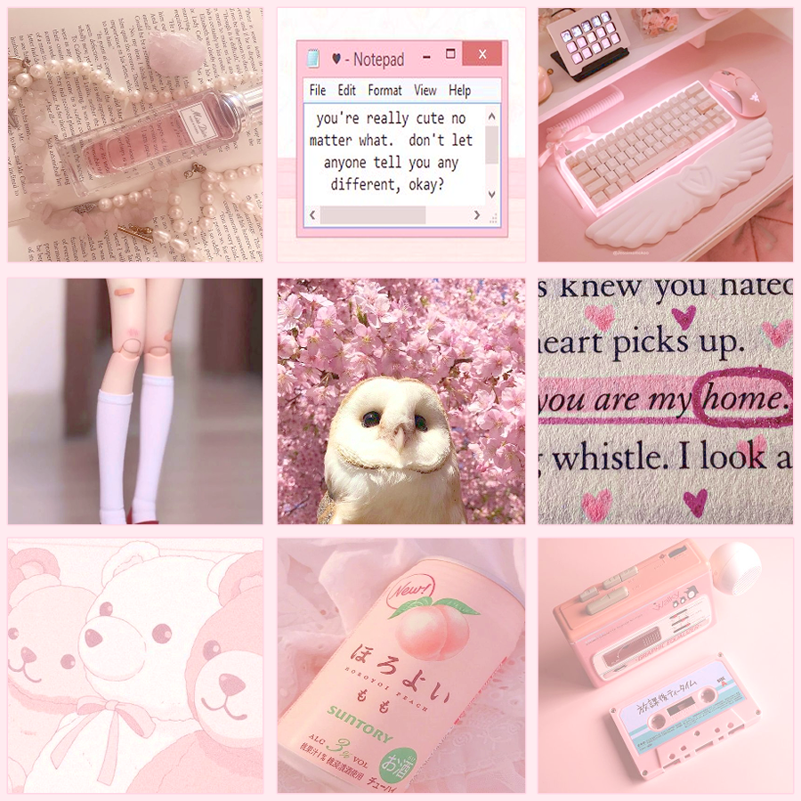 141_S0AP's tweet photo. good afternoon ~ !
i have this design up for preclaims, will repost when finished!! wanted to make a trans owl :) + im broke 
sb $25 + mi $5 + ab $150 (dp of $50)
plz rtwt + b00st if u see this! :) i need money to support myself!
#furry #furryart https://t.co/903eck33BR
