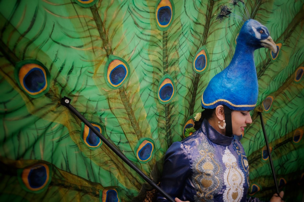 Next sneaky peak of @nownorthwich Festival 2024 on 27 Apr: Mughal Miniatures: The Peacock🦚& The Princess 👸by Sonia Sabri Company - an interactive walkabout performance across #Northwich town centre. Find out more at nownorthwich.co.uk