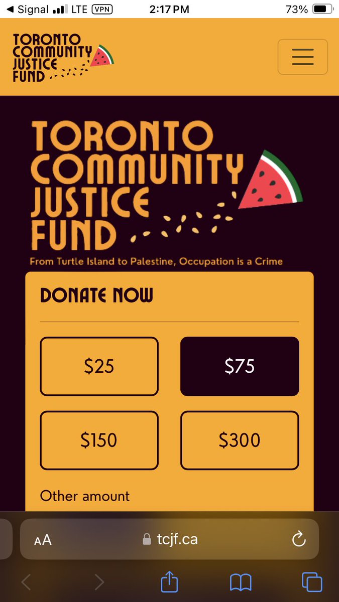 Donate now, support new wave of arrestees targeted by police for protesting in support of Palestine tcjf.ca