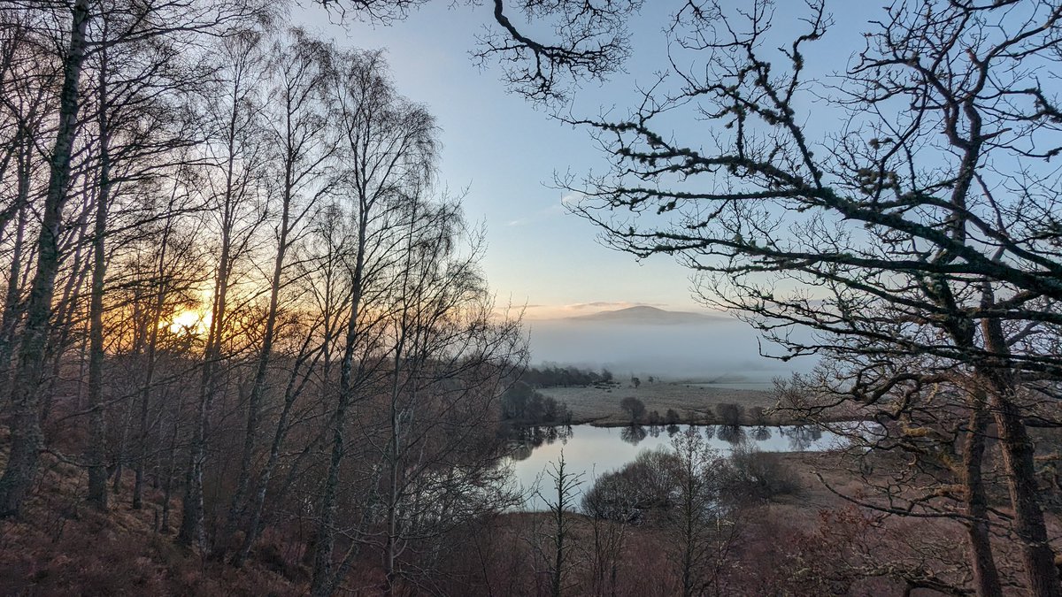 'i who have died am alive again today and this is the sun's birthday; this is the birth day of life and of love and wings' ee cummings Joy to you this Easter Sunday from sunrise on the Speybank Walk, where birds are singing.