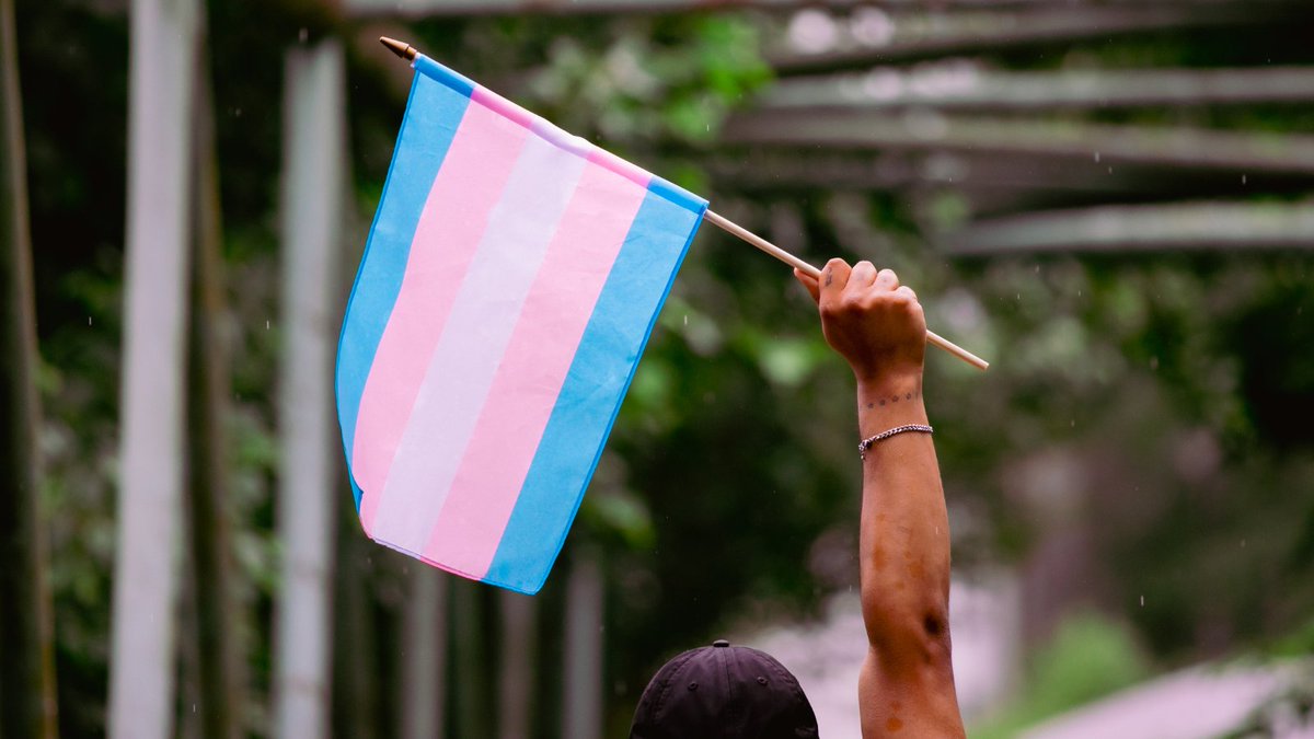 Today is International #TransDayOfVisibility 🏳️‍⚧️. Check out our new blog 'Intersectional Struggles: Unveiling the Impact of Environmental Racism on Black Transwomen: younggiftedgreen.org/intersectional…