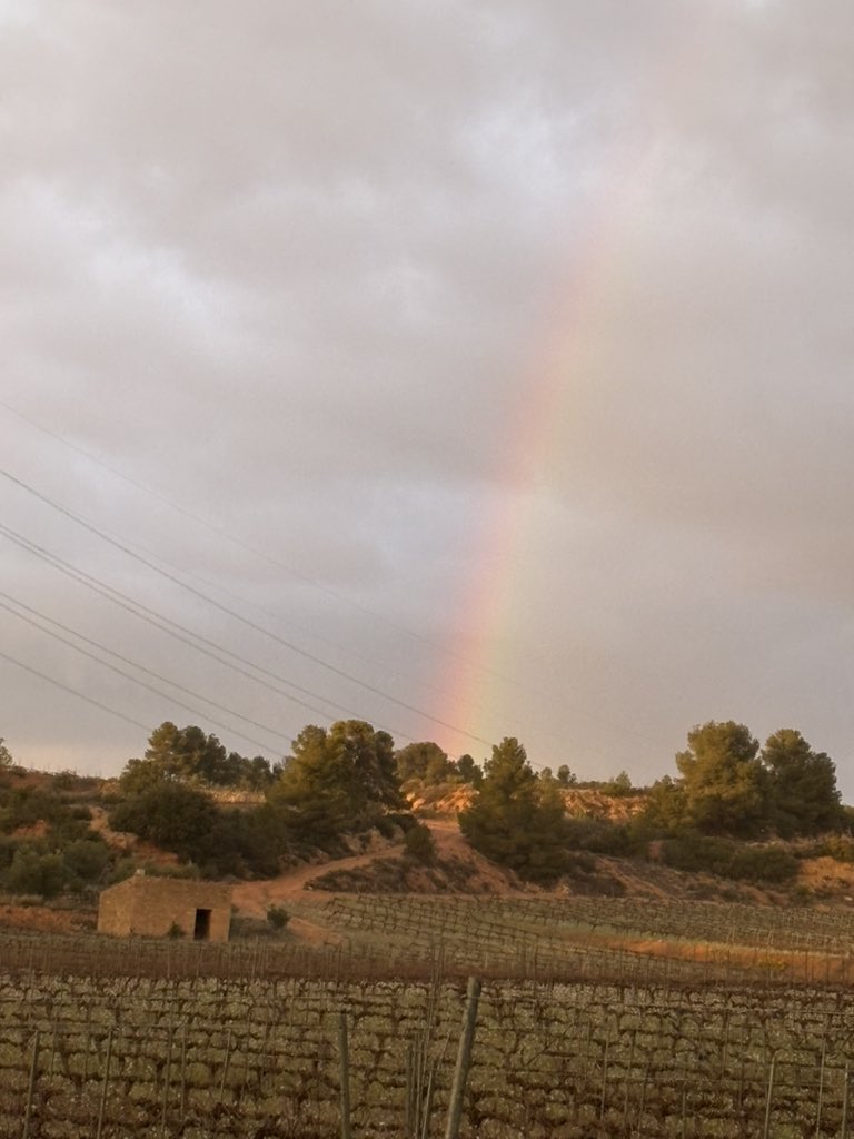 PardoMestre's tweet image. #Bonvespre #Ponent #Picots