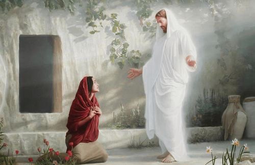 Scott Carman (@carman_scott) on Twitter photo Happy Easter!
Because of Him, we will rise again. Happy Easter!
Because of Him, we will rise again.