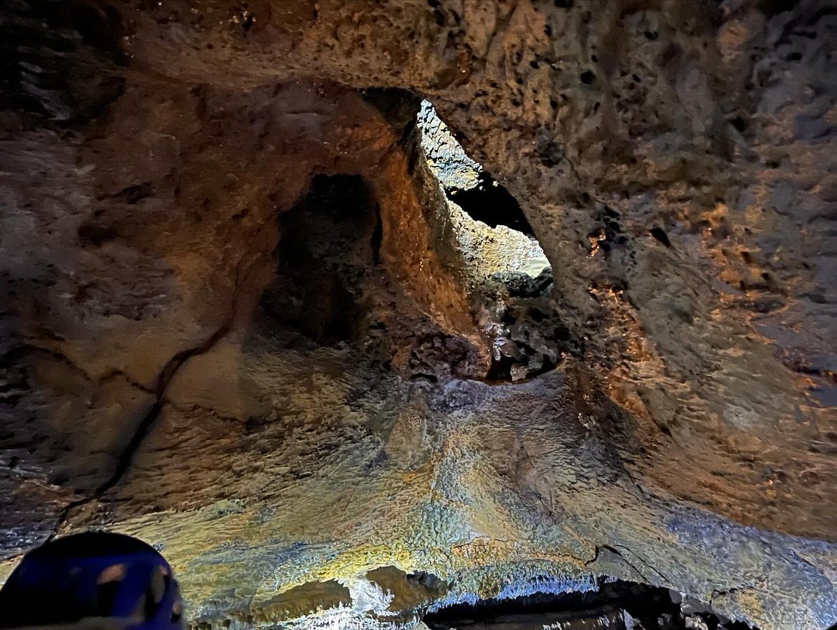 Trinity Geography tweet media