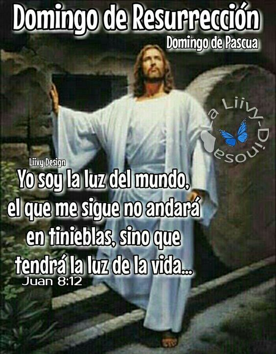 Ismar González (@ismargonzl29230) on Twitter photo 