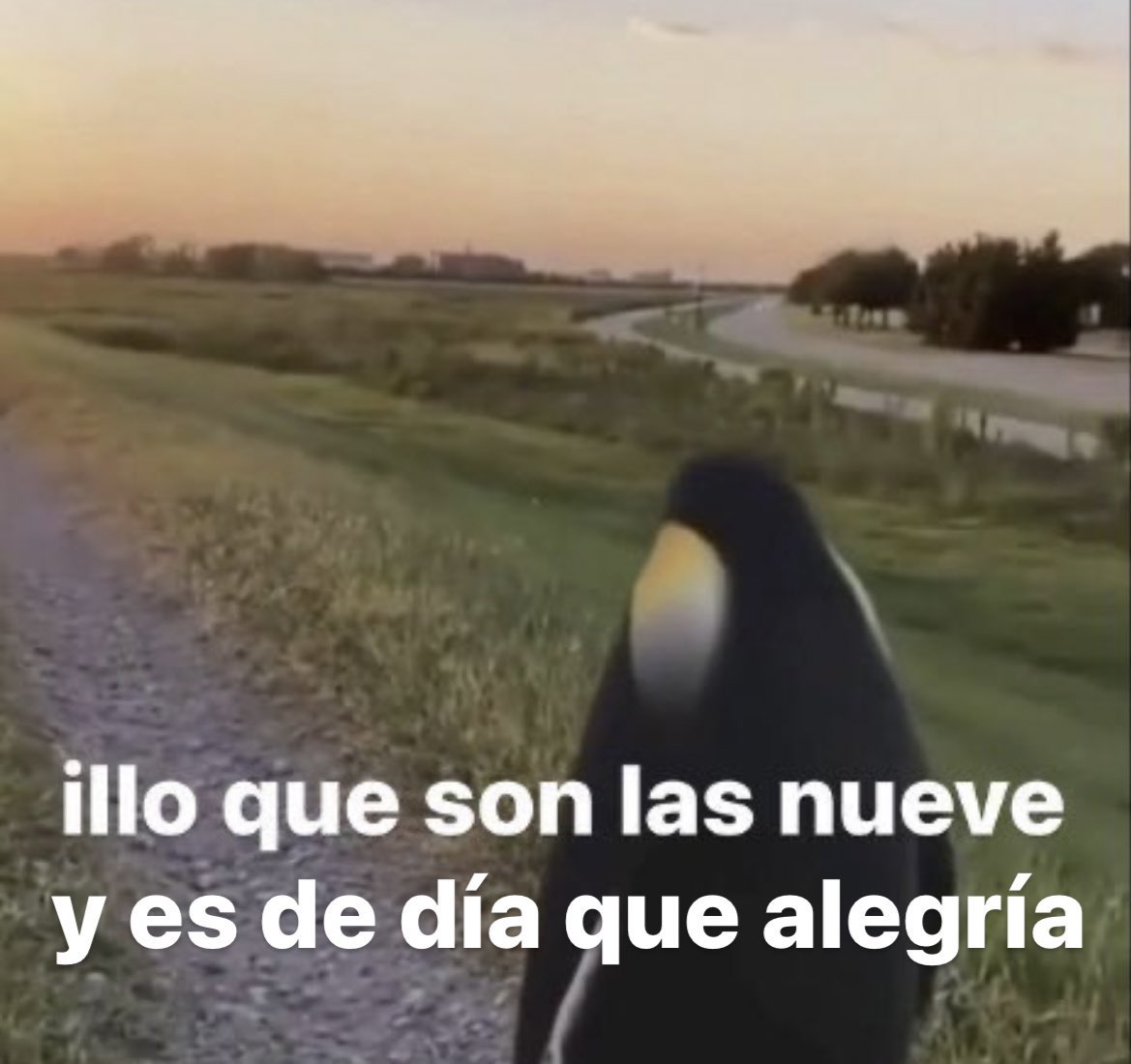por fin