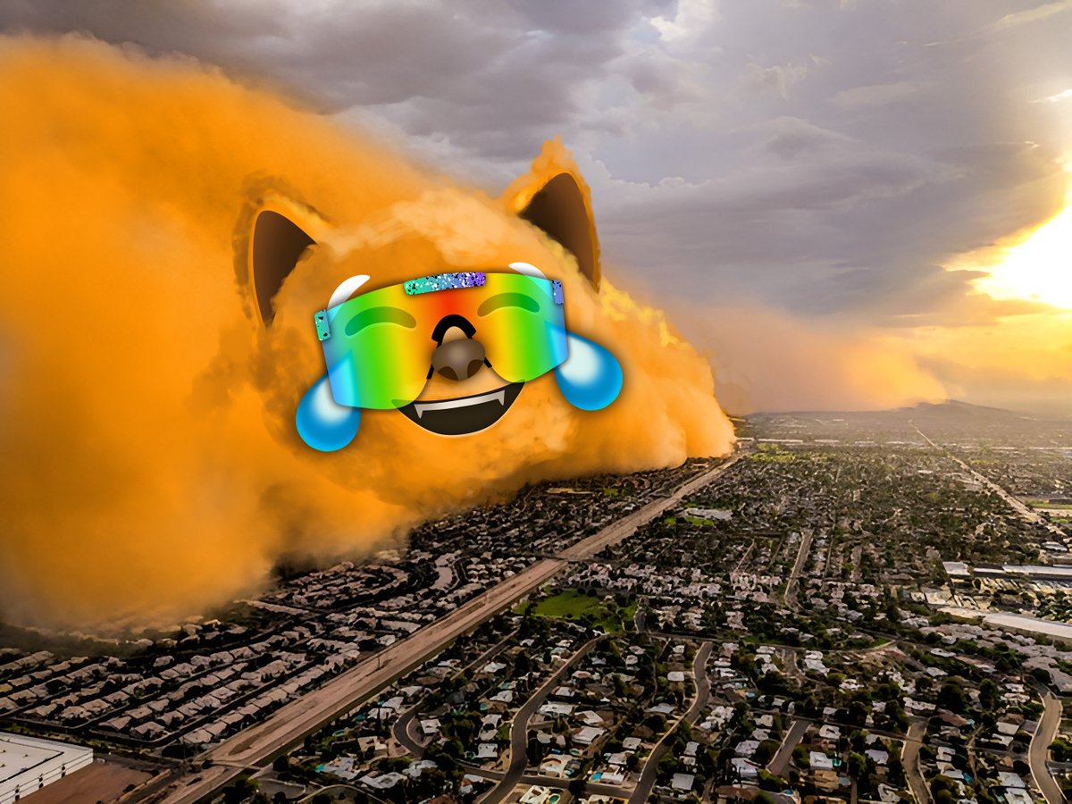 MOGGO COIN tweet media