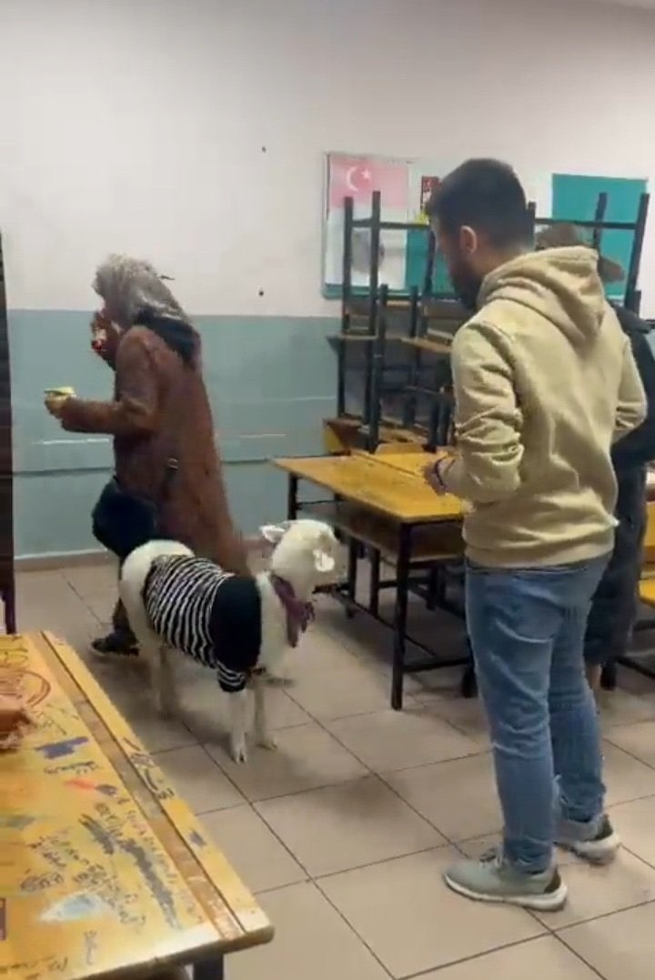 Bütün vegan arkadaşlarımı bu akşamlık göreve davet ediyorum