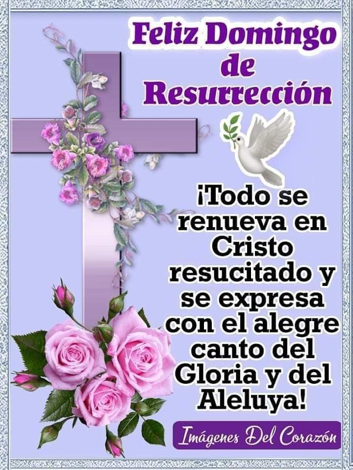 Ismar González (@ismargonzl29230) on Twitter photo 