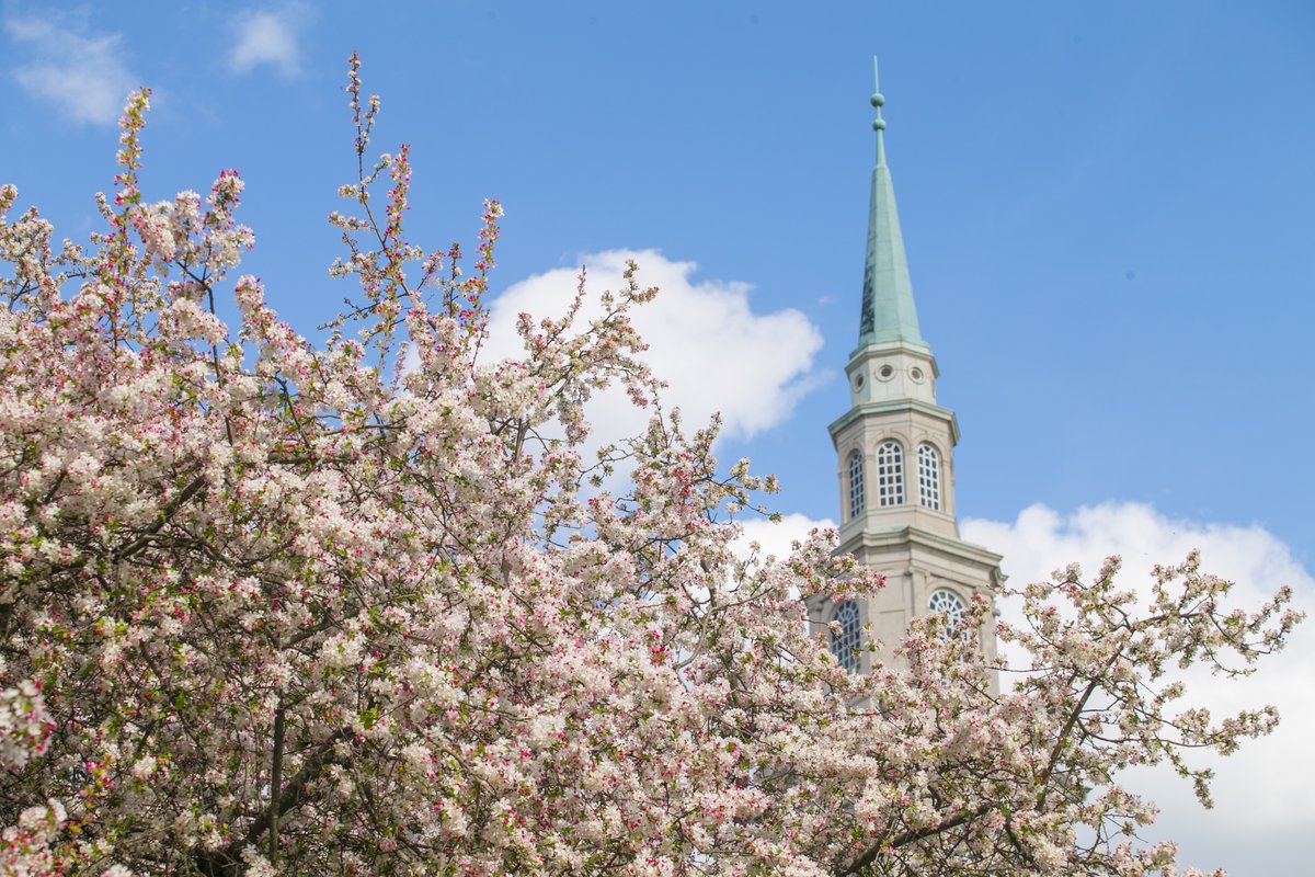 Happy Easter from Samford! We hope you enjoy the Easter holiday and remember why we celebrate. Luke 24:5-7