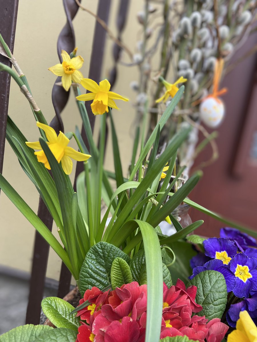Das Team von <a href="/ZAUMpollen/">ZAUM Pollen Science</a> wünscht euch allen frohe und hoffentlich pollenarme Ostern 🐣