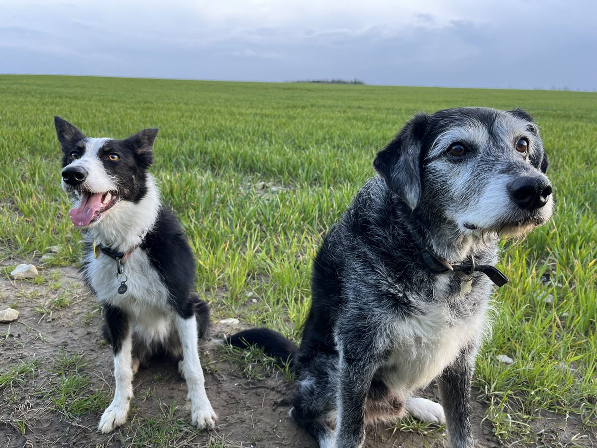 Lighter evenings for the wiiiiinnnnn