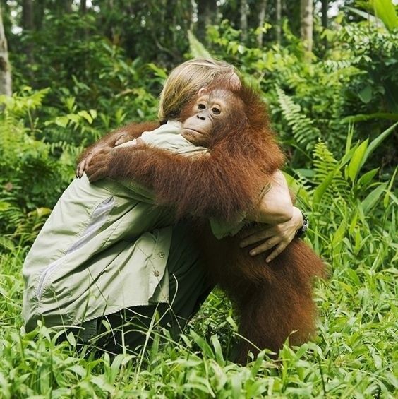 „Bis wir alle die gleiche Liebe und Empathie für alle Lebewesen empfinden, werden wir niemals wahre Glückseligkeit erfahren.“ #JaneGoodall 🙏♥️