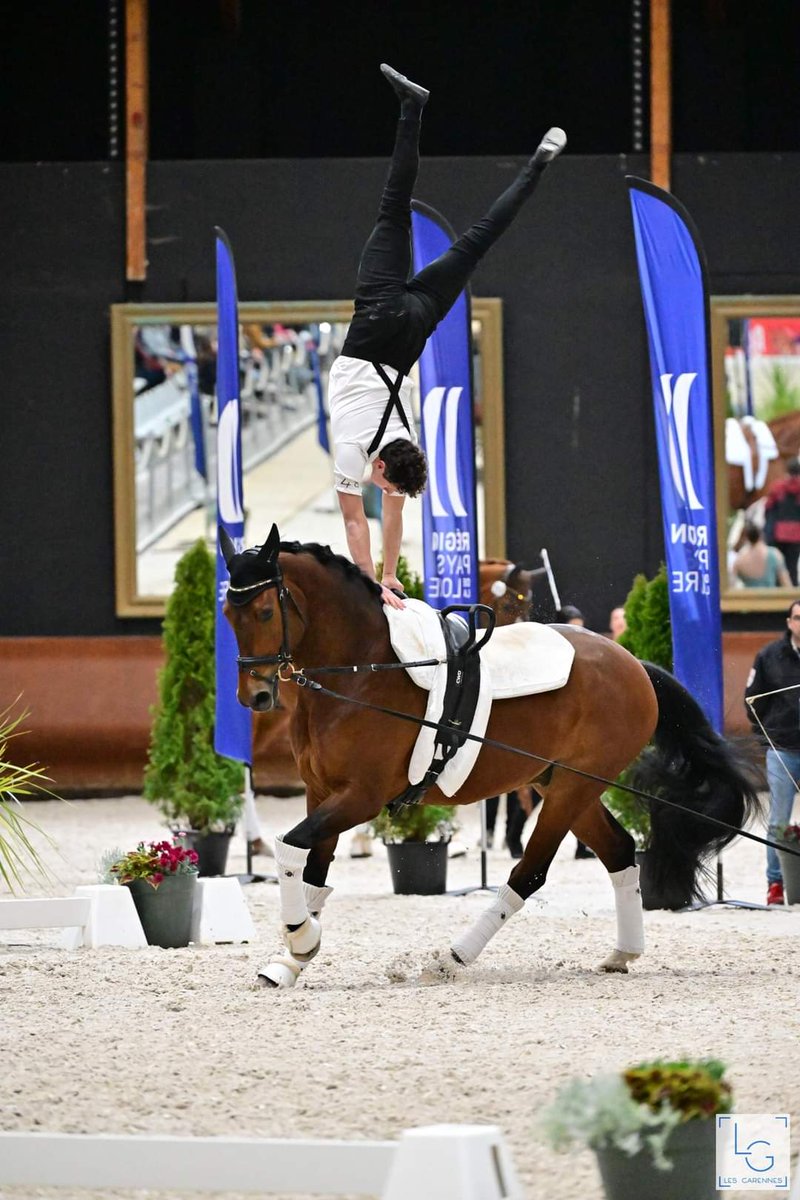 FRA_Equitation's tweet image. #voltige À domicile, les Bleus ont brillé au CVI 3* de Saumur ! 🇨🇵🏆 Chez les Hommes, Théo Gardies &amp;amp; Sir Sensation, longé par Sébastien Langlois, se sont imposés devant Dorian Terrier &amp;amp; Corazon Gran, longé par Benita Golzeb👏⤵️ ffe.com/actualites/the…