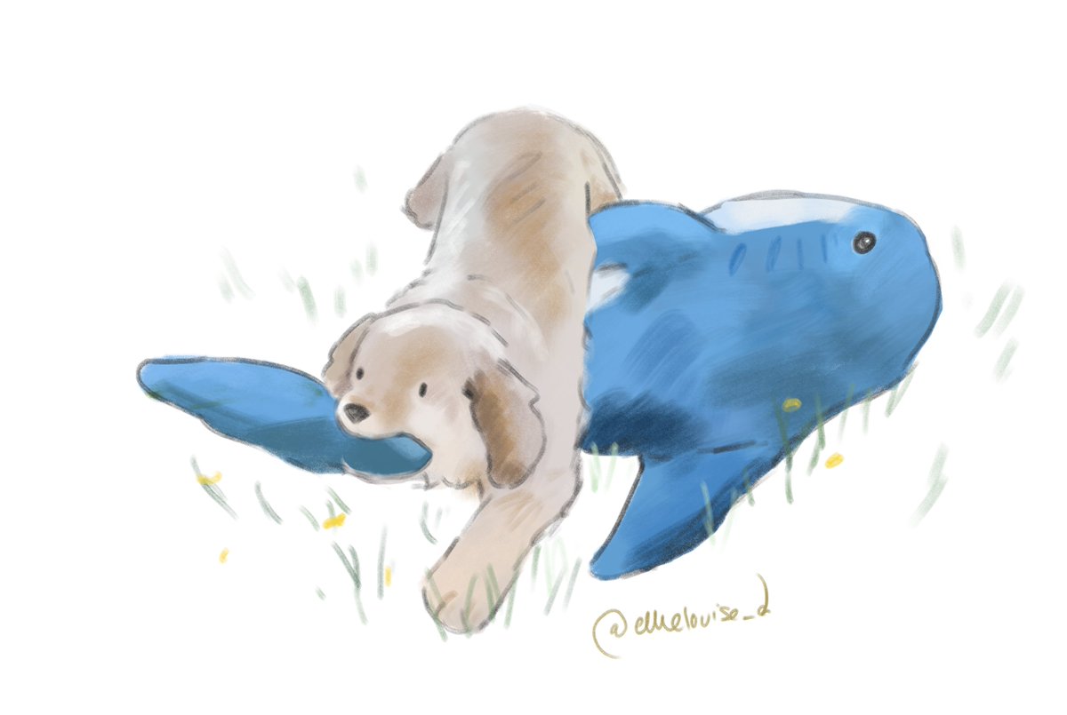 ellielouise_d's tweet photo. chomp https://t.co/KdPfb0771m