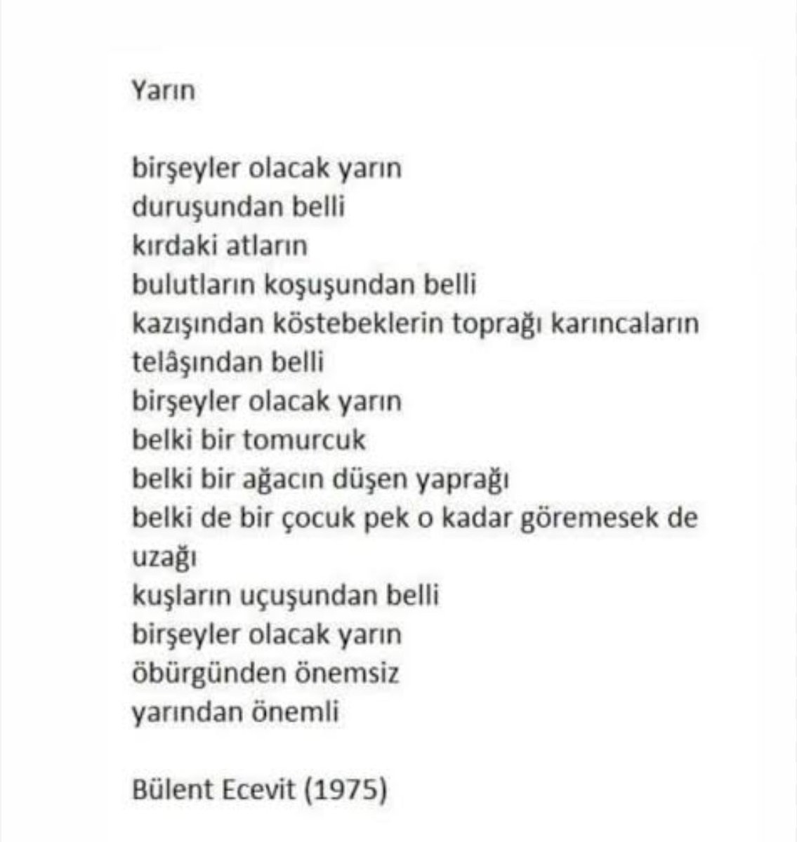 Cenap Sarıalioğlu (@c_sarialioglu) on Twitter photo 