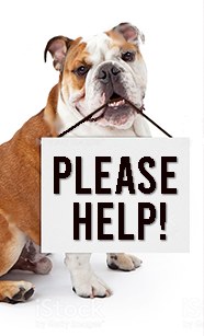 Woodridge_Music's tweet image. We can't do it alone. Volunteer and donation signups for the spring - signupgenius.com/go/20F0A4DAAAE… @WoodridgeBand @LabbeLaurel