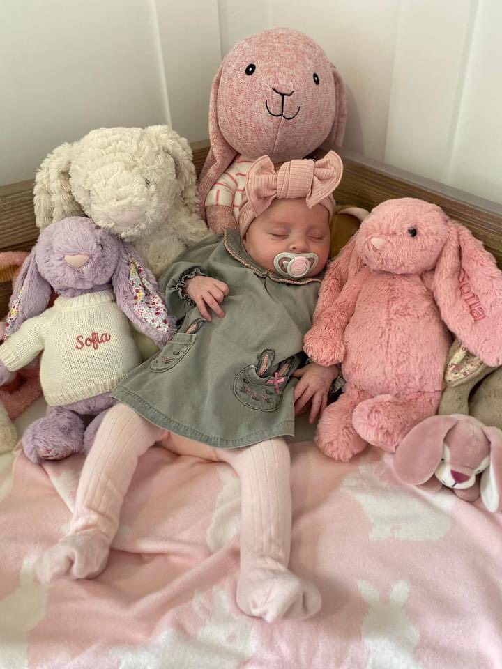 Jess Gray🦋 tweet media