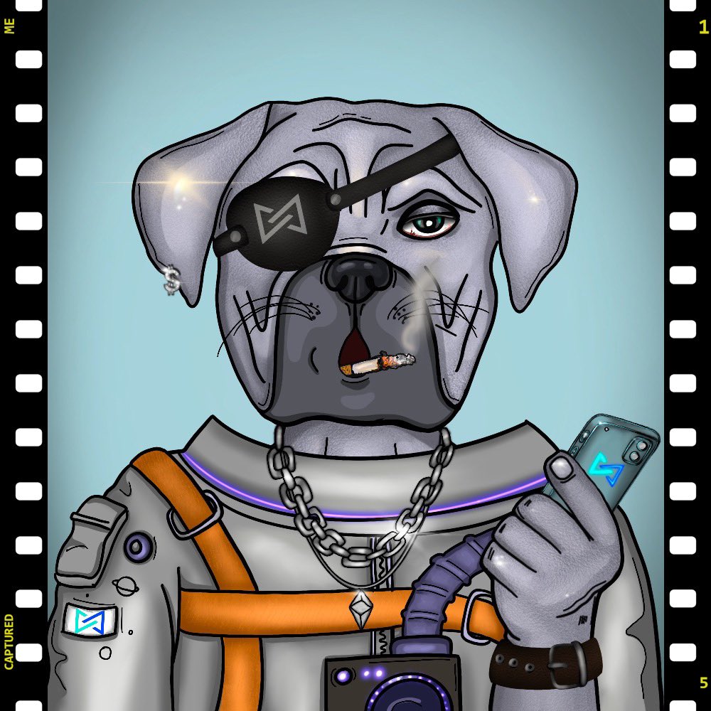 Bags are packed - $MTV Dawgs are ready to roll! Let there be light! #MultiVAC