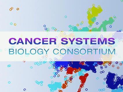 #NCICSBC supports a community of interdisciplinary systems biologists who aim to integrate experimental biology and computational models to address important questions in fundamental #CancerResearch: cancer.gov/about-nci/orga…