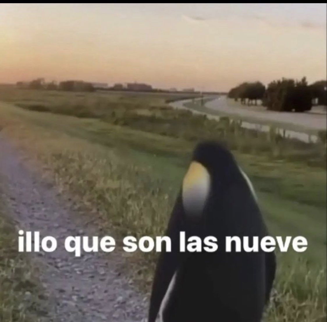 zeshinn (@zeshinnns) on Twitter photo 