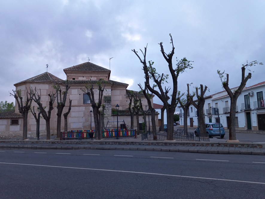 Oscoyos's tweet photo. La poda severa en la infraestructura verde es un vicio. Es igual pueblo o ciudad; da igual el tipo de árbol, incluso arbustos. Son cientos de miles de árboles mal podados, en miles de municipios; y millones de euros malgastados maltratando vegetales. No se puede salir de casa. https://t.co/uZnlsV5JBV