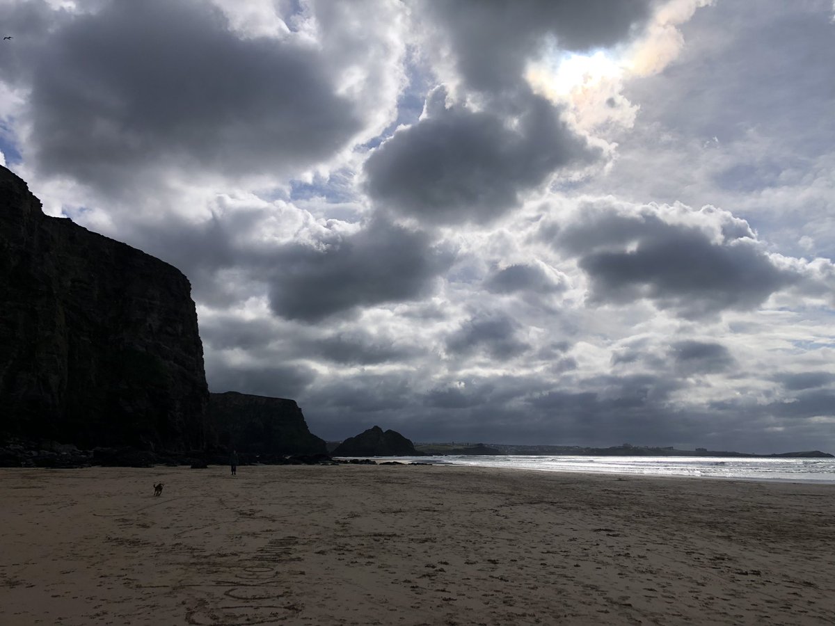 El Warren tweet media