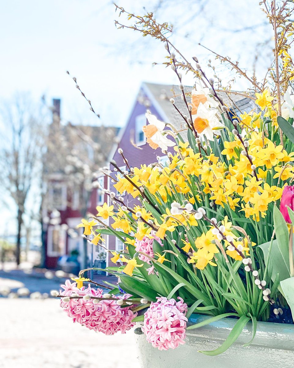 TheDayDesigner's tweet photo. Here's to hope and new beginnings in the season ahead! πΈπΏπ·ππ°
πΈ: @saltairenantucket
#daydesigner #planner #planningcommunity #springflowers #easter https://t.co/Ou0DSR7Qid