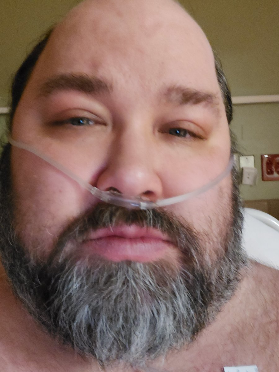 p͎h͎y͎l͎u͎m͎ ͎s͎i͎n͎t͎e͎r͎ tweet media