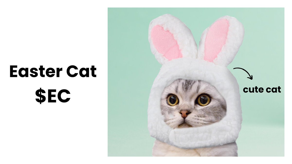 eastercat tweet media