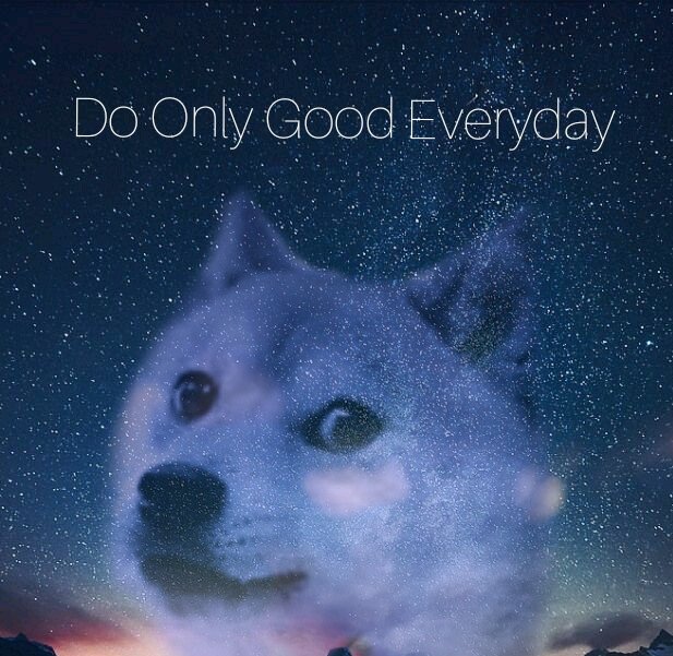 Atlantiscat1's tweet photo. #Doge https://t.co/hIdN6ccnbH