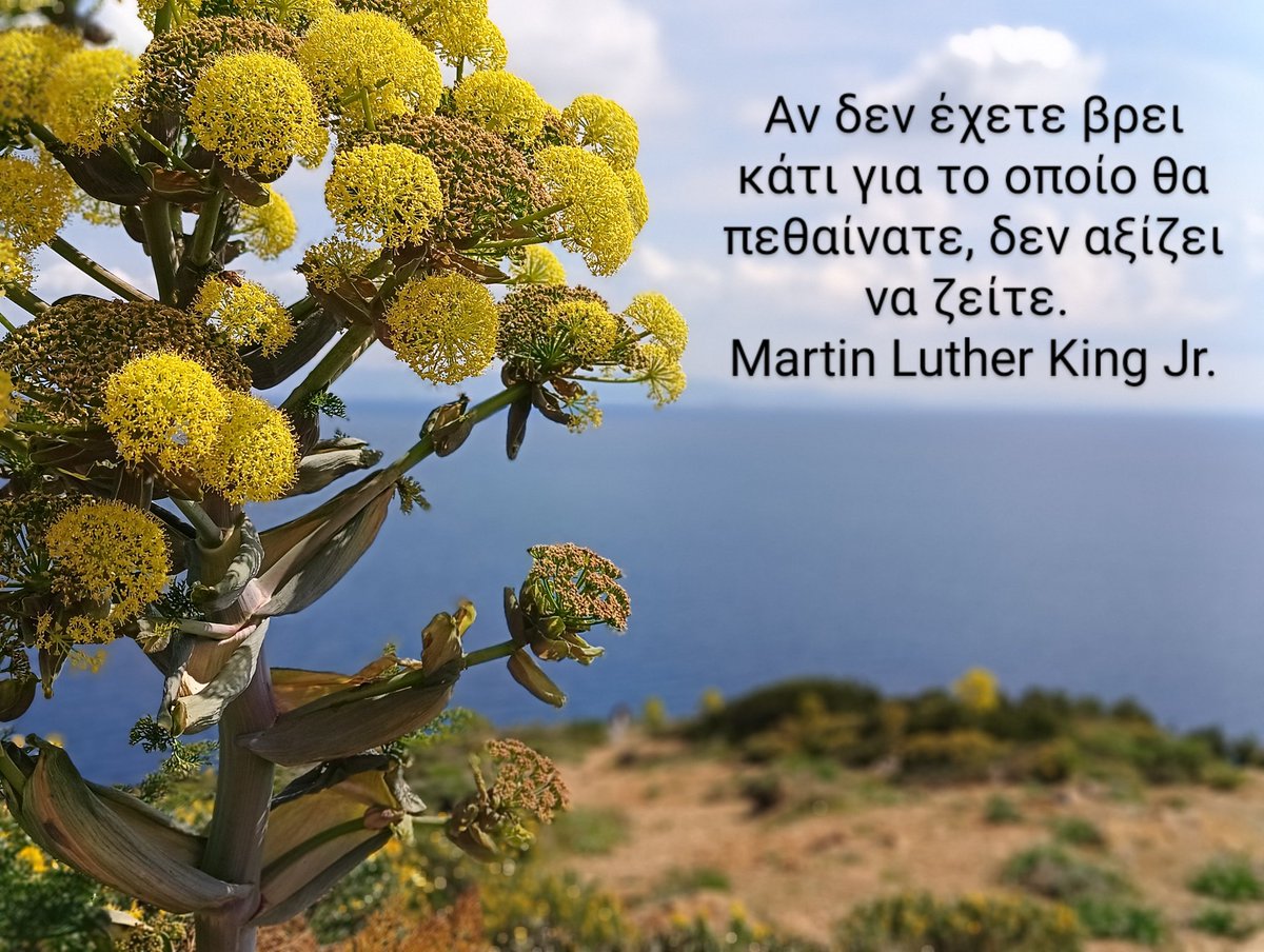 Theodore M. Giannaros tweet media