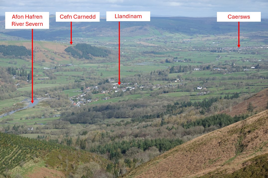 Dyffryn Hafren o Allt yr Hendre (rhwng Llanidloes a Drenewydd). Severn Valley from Allt yr Hendre (between Llanidloes and Newtown).