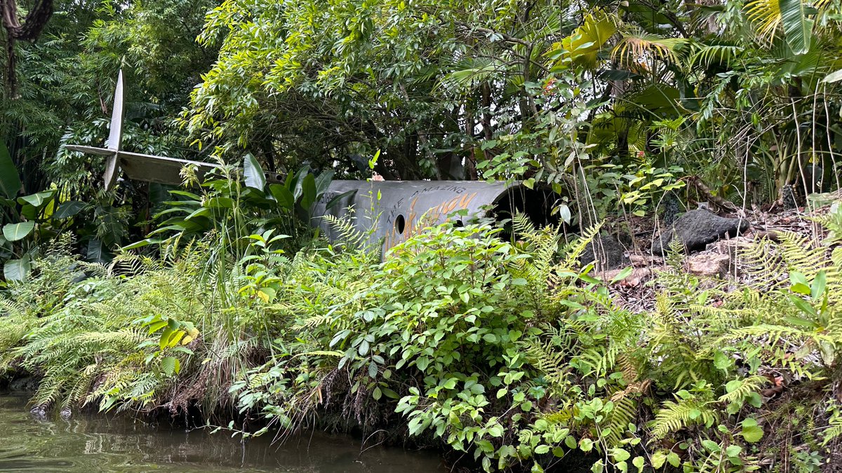 disneypicaday's tweet photo. How did I land my job writing tweets and sharing pictures of theme parks? I took a crash course! #JungleCruise #MagicKindom https://t.co/tHiTWzFgFm
