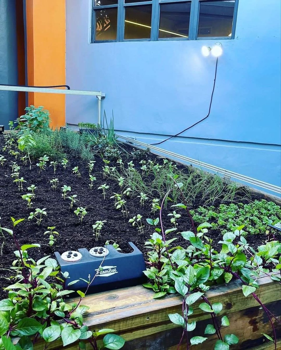 Cilantro, Basil, Onion, Spinach, Rosemary, and Peppers! 🌶 🧅 🌿 What will you grow with #FarmBot Genesis XL? Photo by @engine4cws