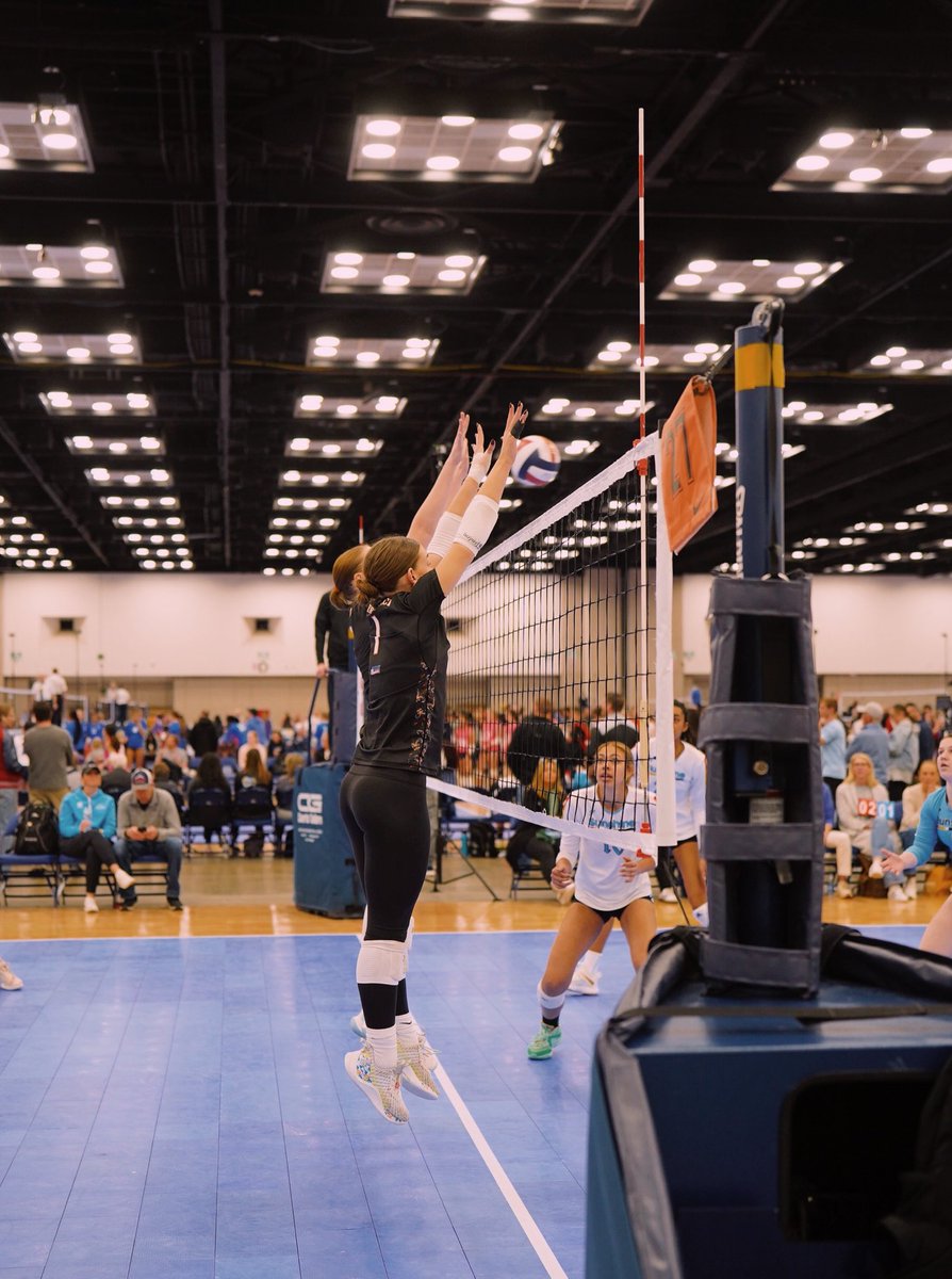 Isabella Sohl tweet media