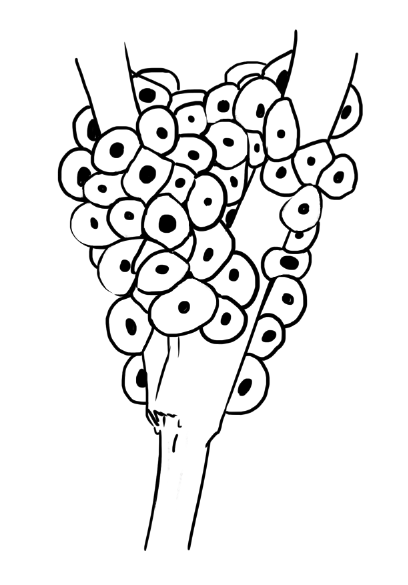 Timmy - ⁱⁿ ᵇᵍ³ ᵇʳᵃⁱⁿʳᵒᵗ tweet media