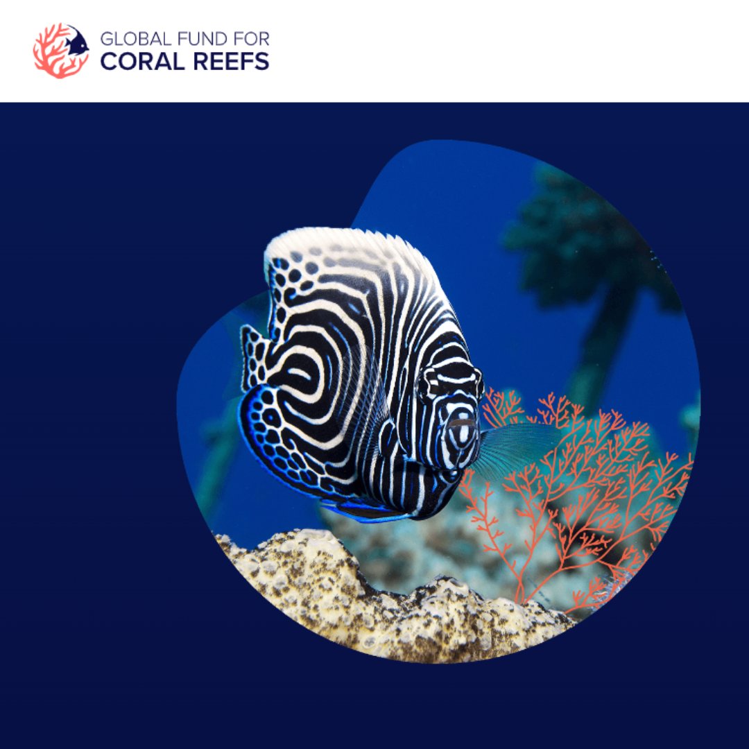 UNEP is a founding partner of The Global Fund for Coral Reefs which, in line with the #BiodiversityPlan, works to protect this ecosystem on the brink of extinction, while enhancing resilience of coral reef countries and communities: globalfundcoralreefs.org