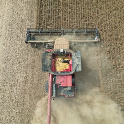 TeddyGraf1's tweet photo. #NewProfilePic https://t.co/n9hWYZUXTC