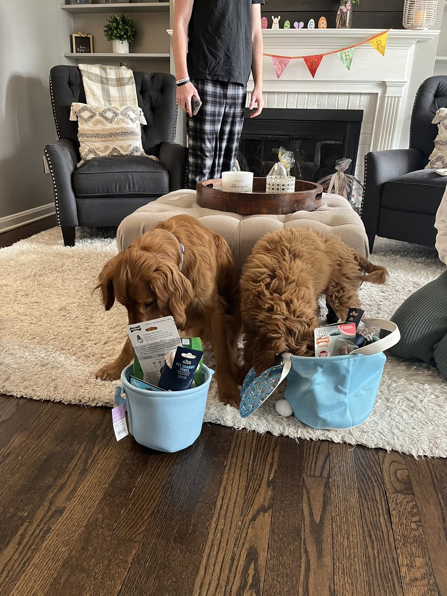 Happy Easter! Looking through our #EasterBasket #easter2024 #DogsOfX