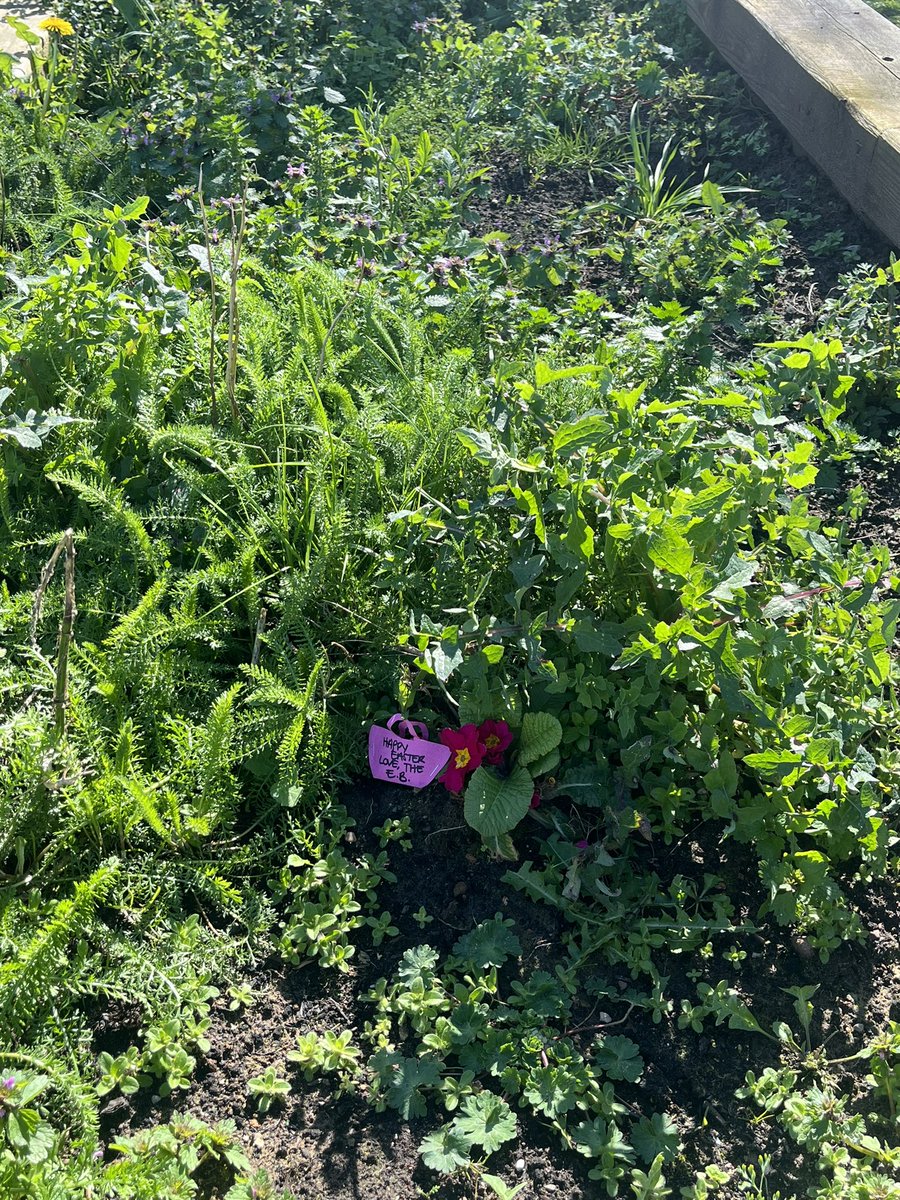 AnnaS033's tweet photo. What a glorious day for the Easter bunny to leave lots of treats in @pavilion_ward garden! 🐣 ☀️🌟 https://t.co/VvL9MzXHSL