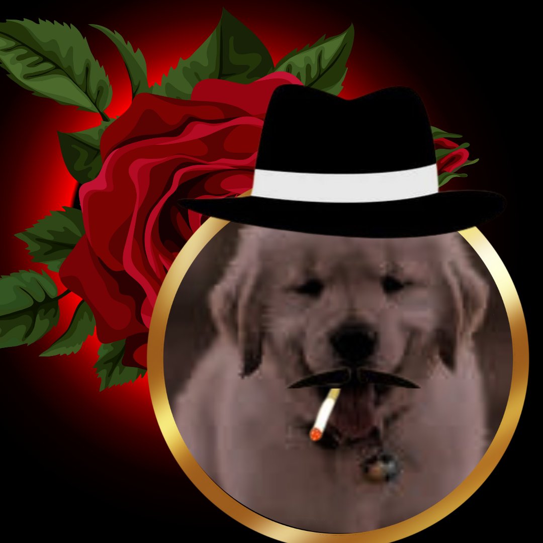 HaArteNoAbsurdo's tweet photo. Que porra é essa??? É um cachorro mafioso com ele nao pode se fazer cachorrada
Noma da imagem : Don Cachorrone
#fofinho #cachorro #mafia #thegoodfather #poderoso #chefao #NFTCommunity #NFT #NFTs #humor #gato #hentaiِ #zueira https://t.co/DSoCVhzCYm