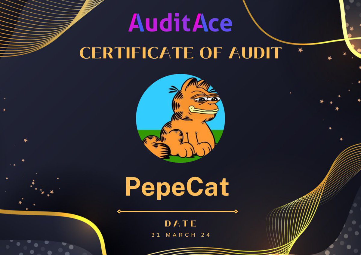 Audit Ace tweet media