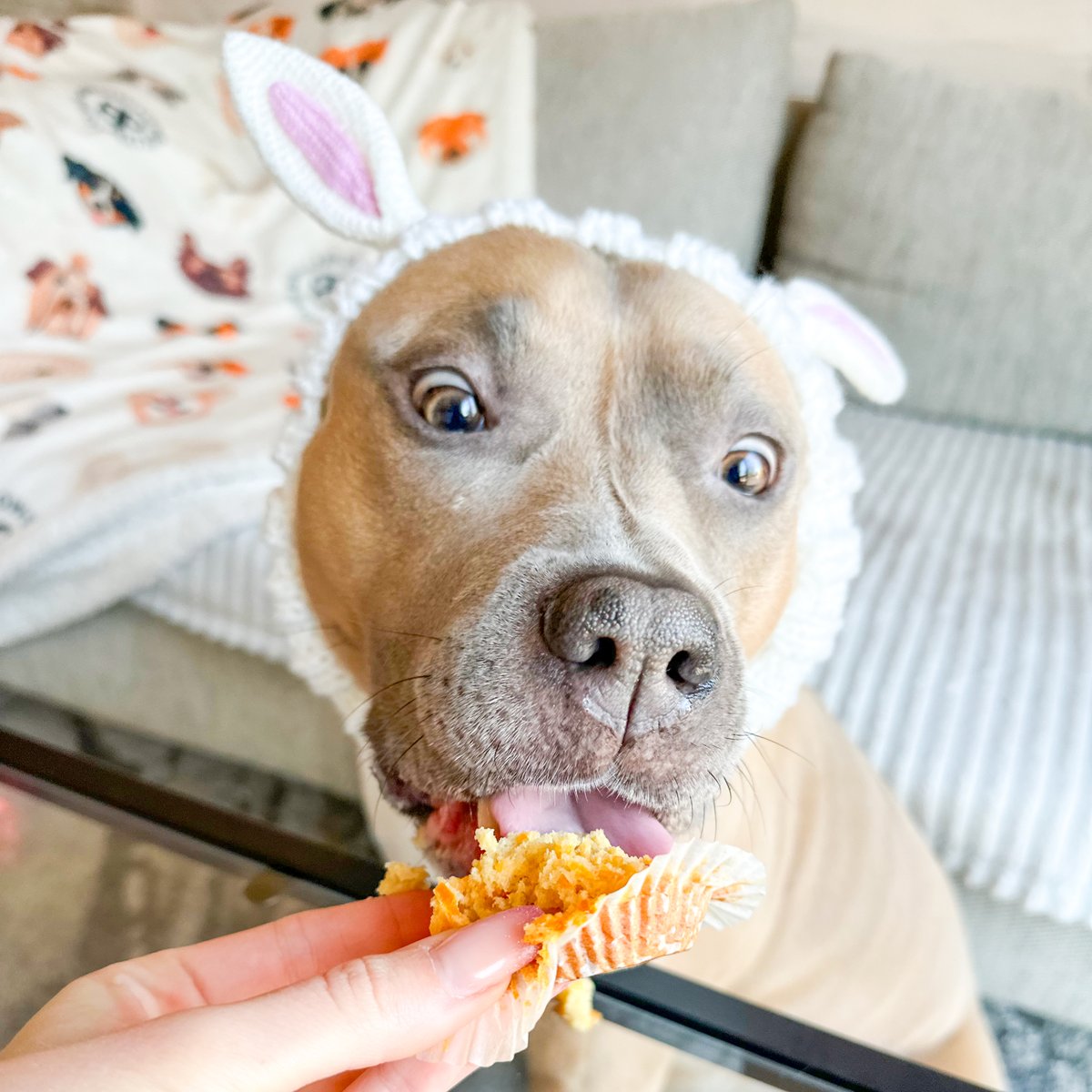 BullyBillows tweet media