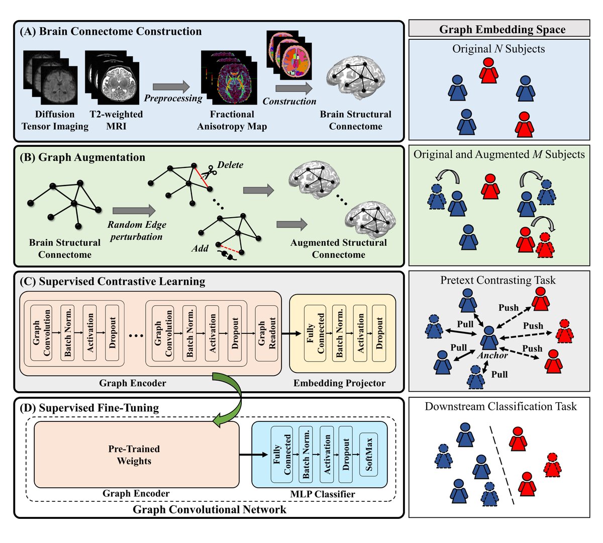 Our new AI model for the neonatal brain is published at NeuroImage- [Supervised contrastive learning enhances graph convolutional networks...]  sciencedirect.com/science/articl… 
This is truly teamwork!!
@DrNehalParikh @therealjonadill @Zhiyuanliz27 @AI_CAD_CCHMC @CincyKidsRad